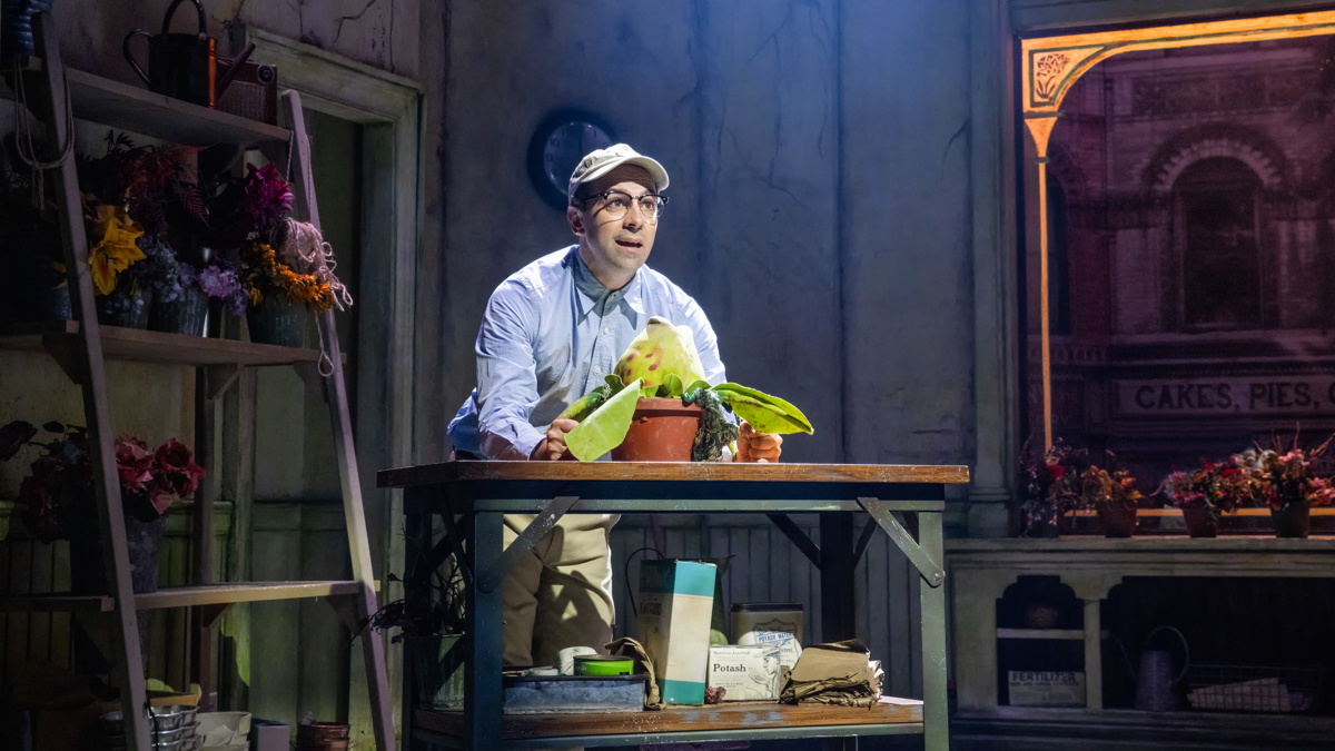 Show Photos - Little Shop of Horrors - Rob McClure - Photo: Evan Zimmerman for MurphyMade